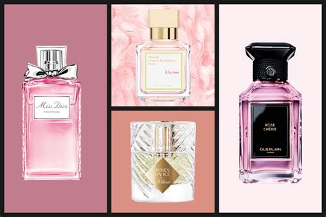 rose and rose perfume